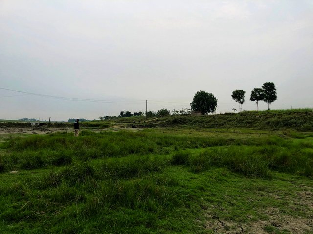 IMG_1943-01.jpeg