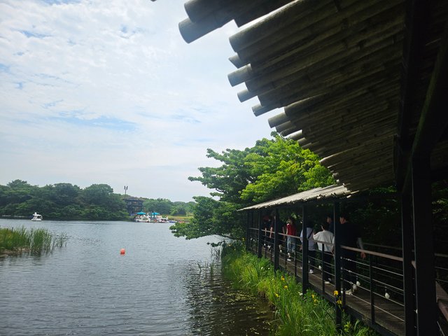 20250607_112310.jpg