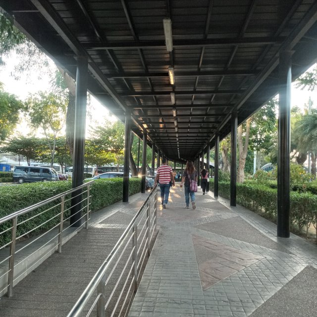 20250424_172912.jpg