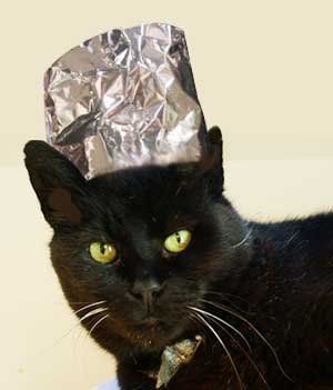 tinfoilhatcat.jpg