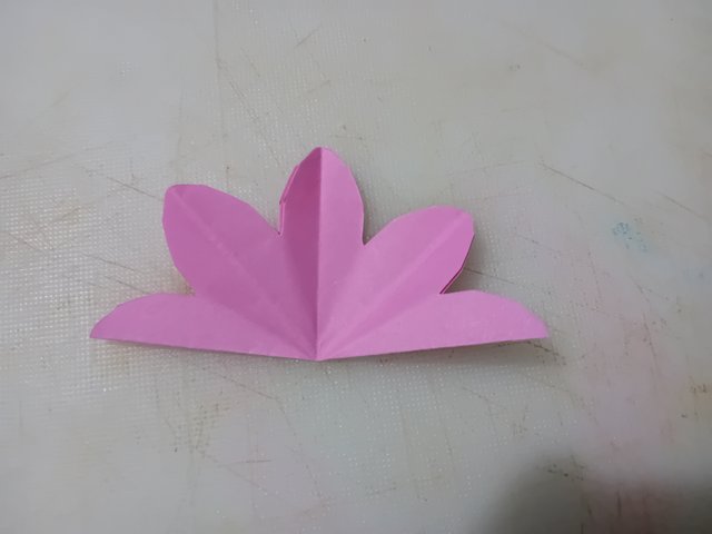 1000050986.jpg