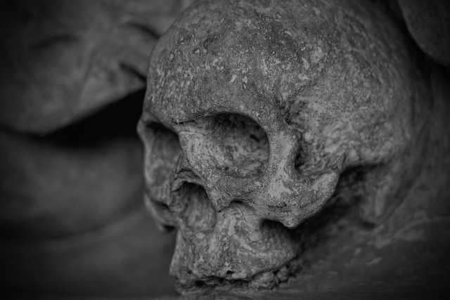 skull-77950_1920.jpg
