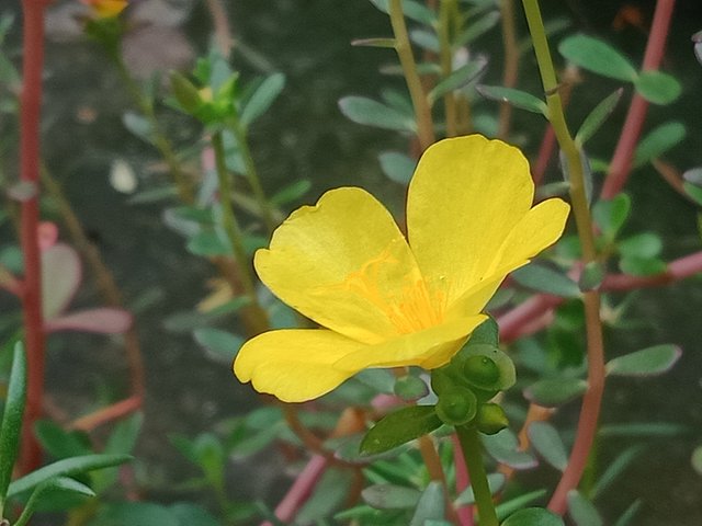 IMG20241021103631.jpg