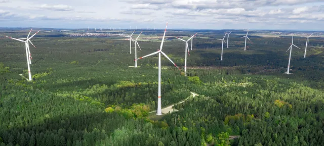 foto wald windräder.webp
