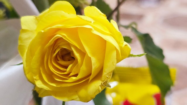 20250512_001827.jpg