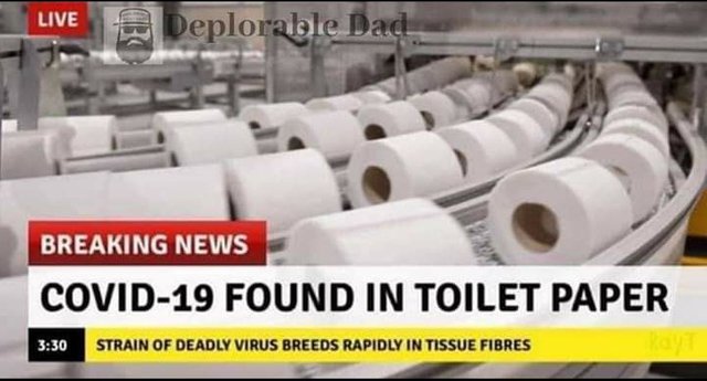 Toilet Paper Meme.jpg