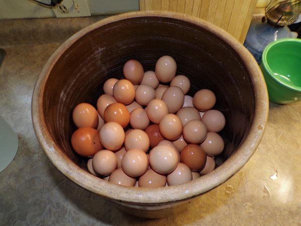 Waterglass eggs - eggs in crock crop February 2020.jpg