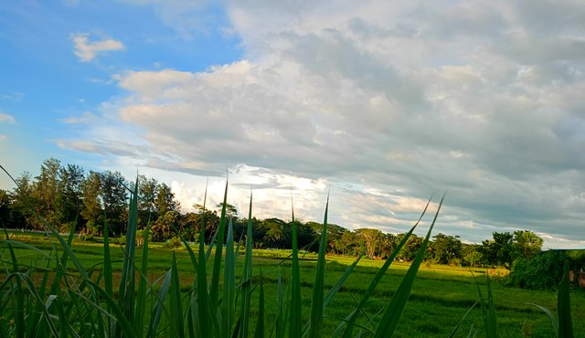 IMG20250527180215.jpg