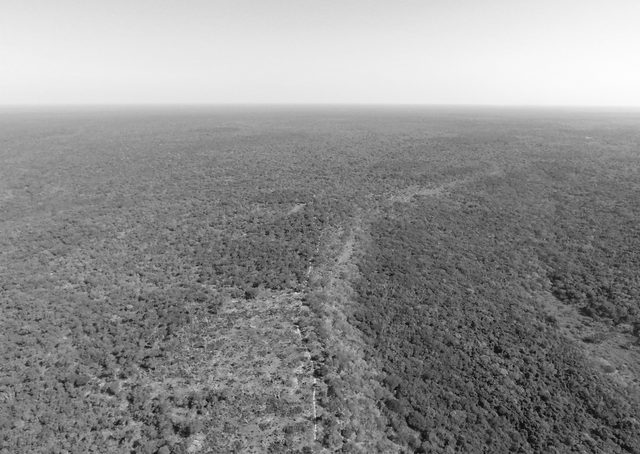 drone shot bw.png