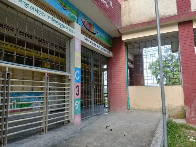 IMG20250725175104.jpg
