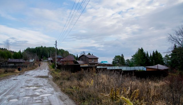 20211024 Курешники_35.jpg