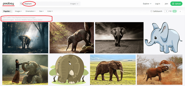 06. Pixabay Search Images.png