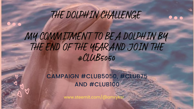 The Dolphin Challenge - My Commitment To Be A Dolphin By The End Of The Year And Join The #Club5050.png