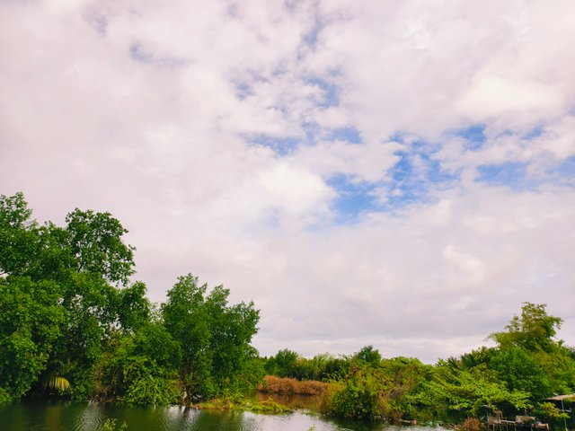 IMG_20250711_082403.jpg