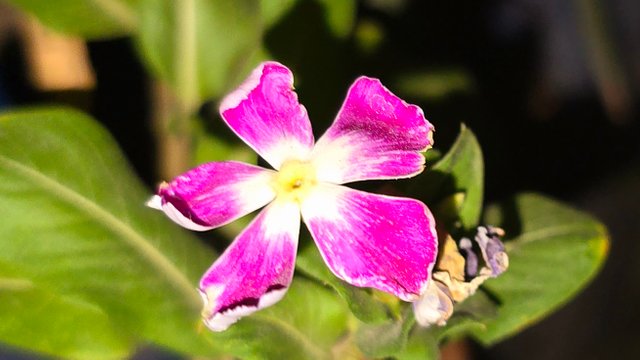 20250706_021749.jpg