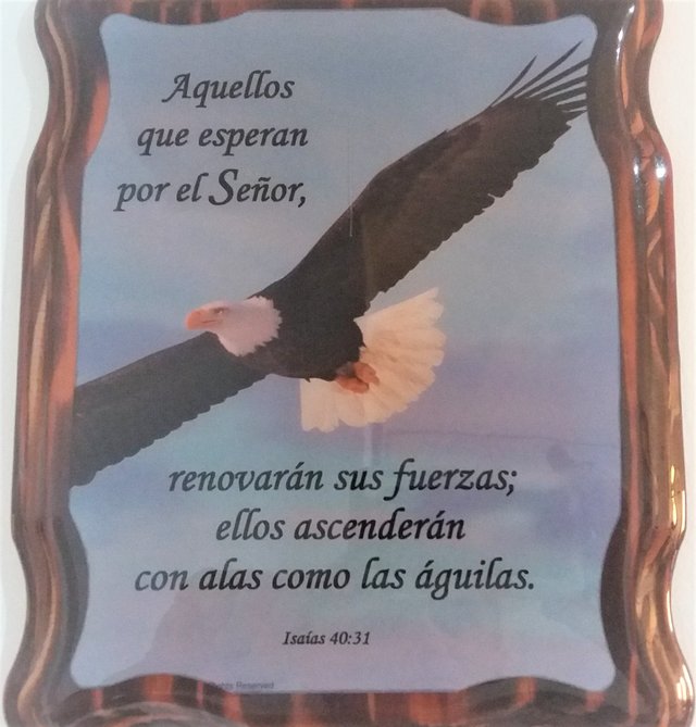 Aguila.jpg