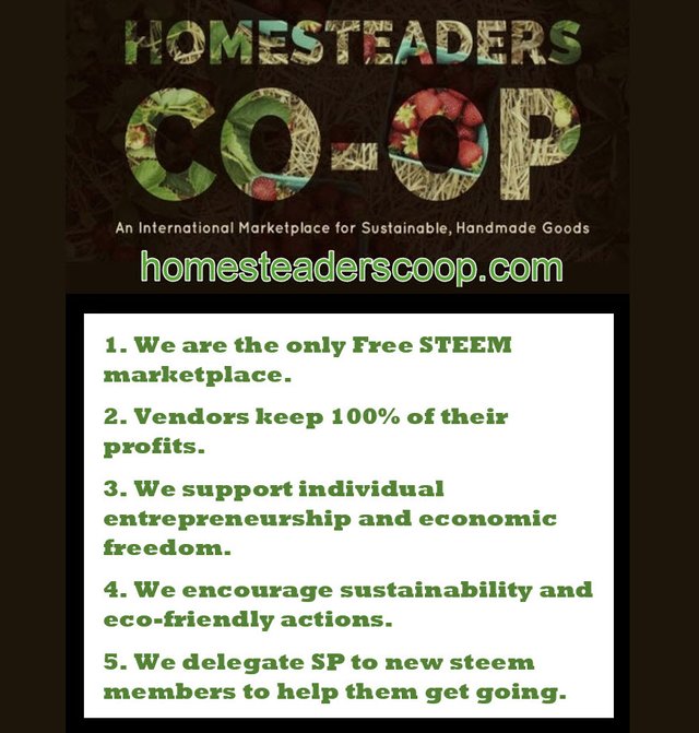 Homesteaders Coop international marketplace Main photo with url  and 5 things about HSCO resized.jpg