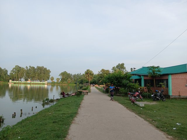7401.jpg