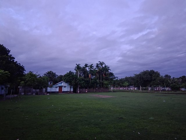 1000031849.jpg