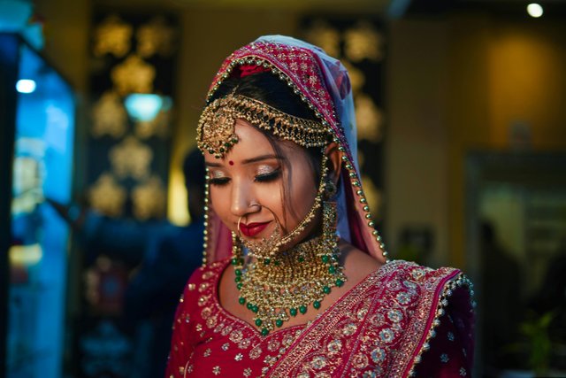 pexels-artosuraj-30708594.jpg