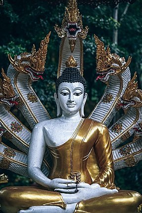 ancient-3645146_960_720-small (3).jpg