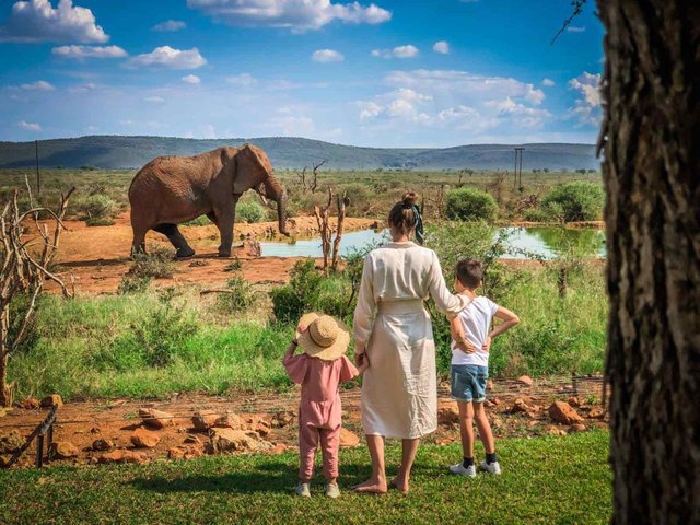 15 Top Best Things to Do on African Safari Tanzania.jpg