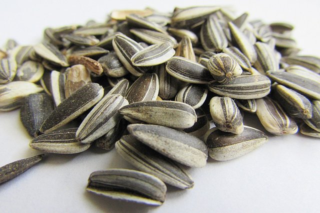 sunflower-seeds.jpg