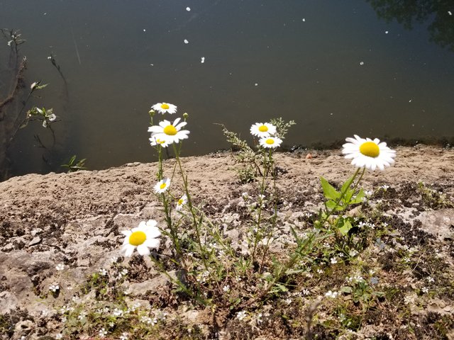20190517_083337.jpg