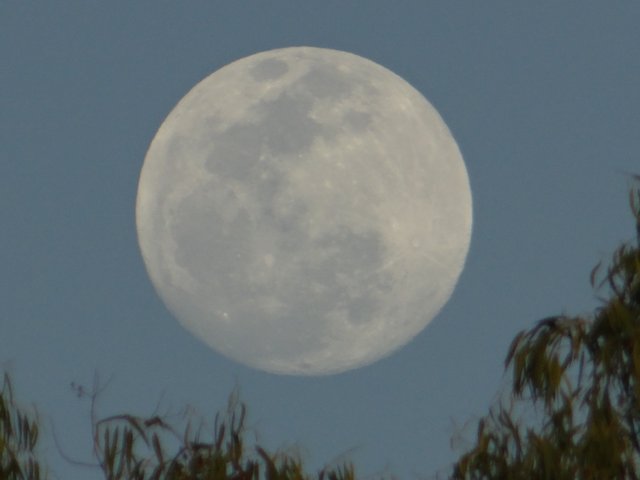 DSC07490.JPG