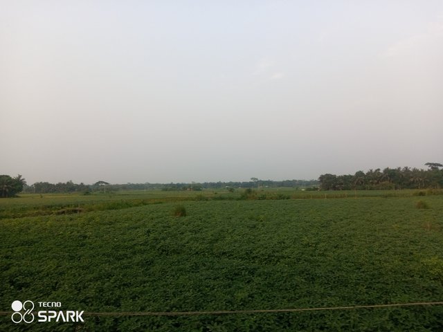 IMG_20250407_173601_139.jpg