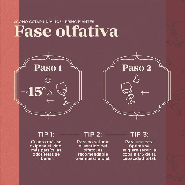 Sello Austral - Cómo catar un vino - Fase Olfativa.jpg