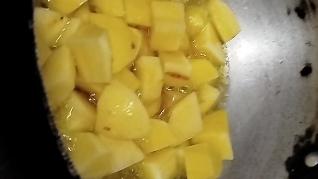 IMG_20250425_111453.jpg