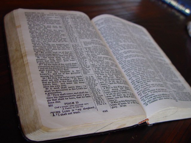 holly-bible-book.jpg