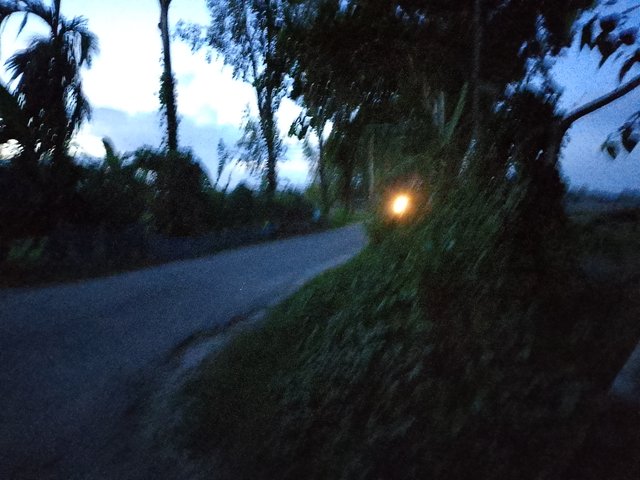 1000042901.jpg