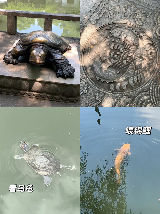 3.jpeg