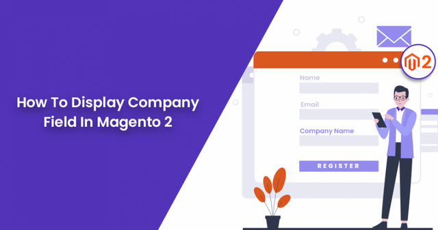 How-To-Display-Company-Field-In-Magento-2-950x500.png