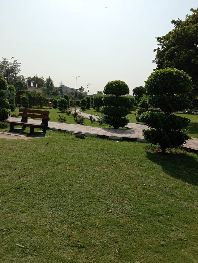 image (6).jpeg