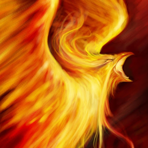 Phoenix Enigma