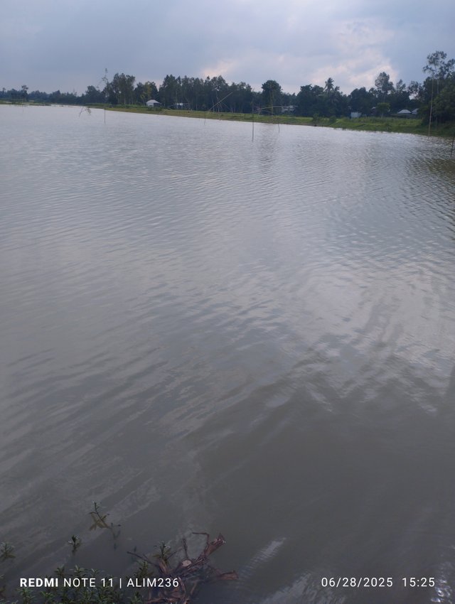 IMG_20250628_152527.jpg