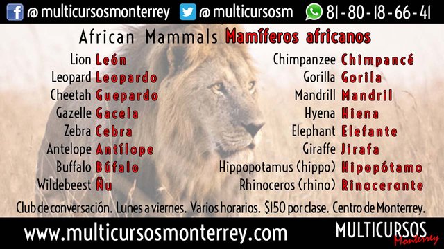 Vocabulario De Mamiferos Africanos En Ingles Steemit