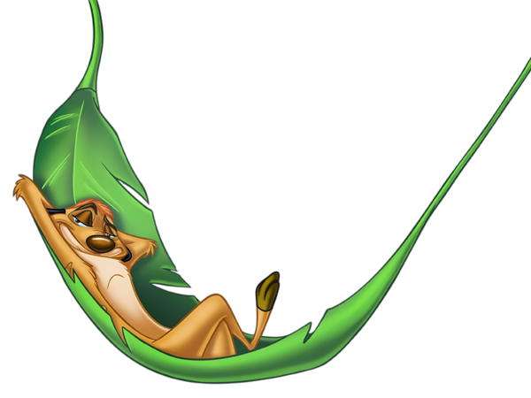 Timon_PNG_Clipart_Picture.png