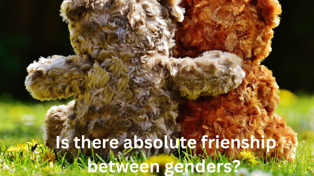 Is there absolute frienship between genders_20240505_105956_0000.png