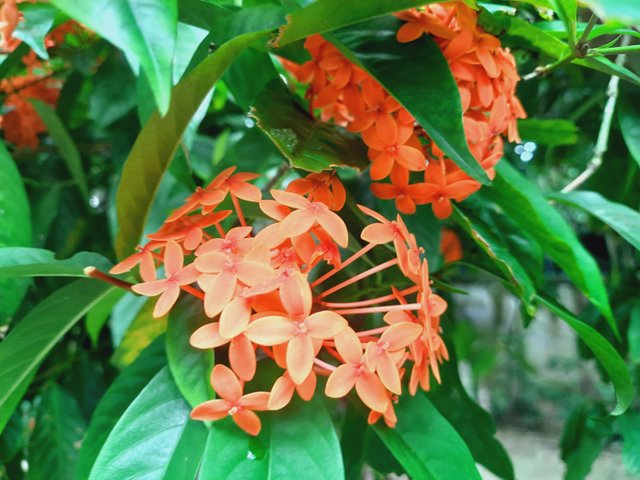 IMG-20250802-WA0004.jpg