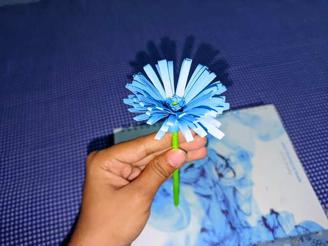 1000011344.jpg