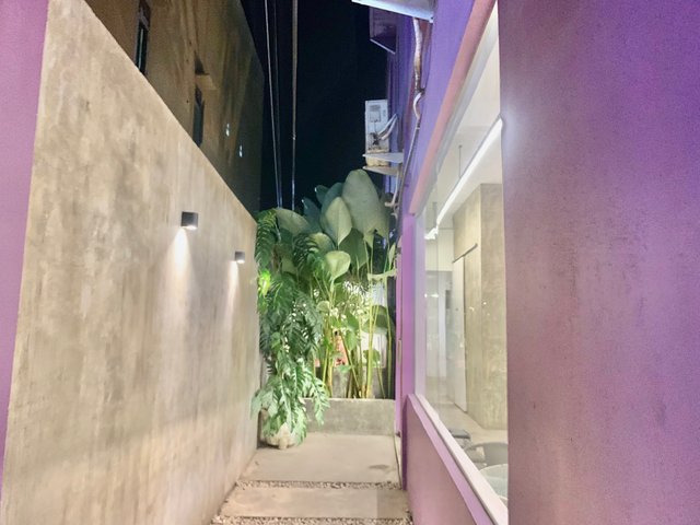 IMG_5533.jpeg