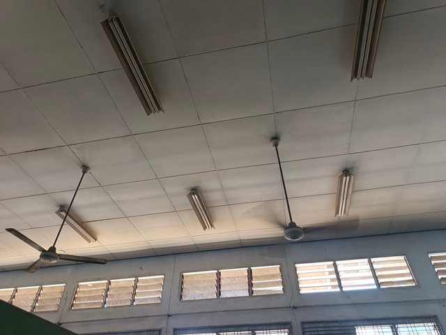 1000086405.jpg