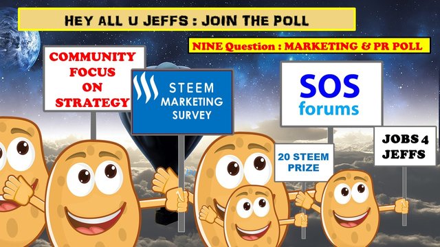 DPOLL MARKETING & PR.jpg