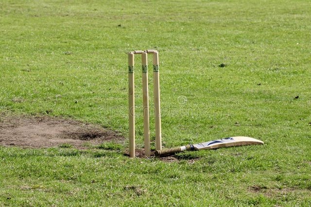 edinburgh-scotland-september-wooden-cricket-wicket-bat-grass-public-park-sunny-day-cricket-wicket-bat-196779451.jpg