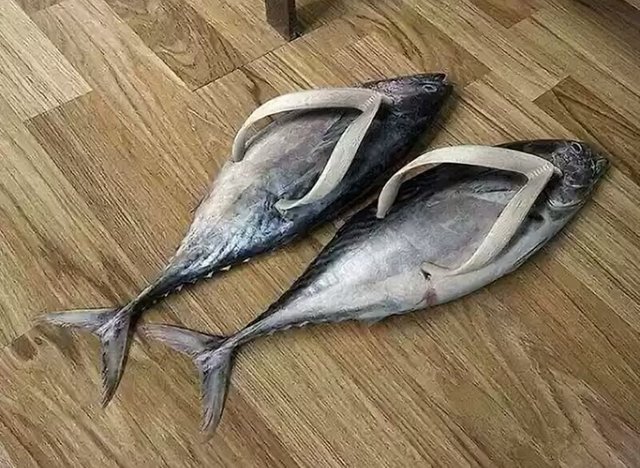 Fish Flip Flops.jpg