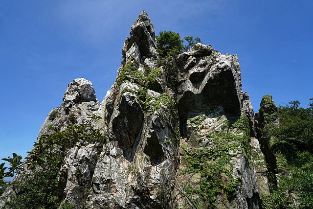 b-DSC08261.JPG